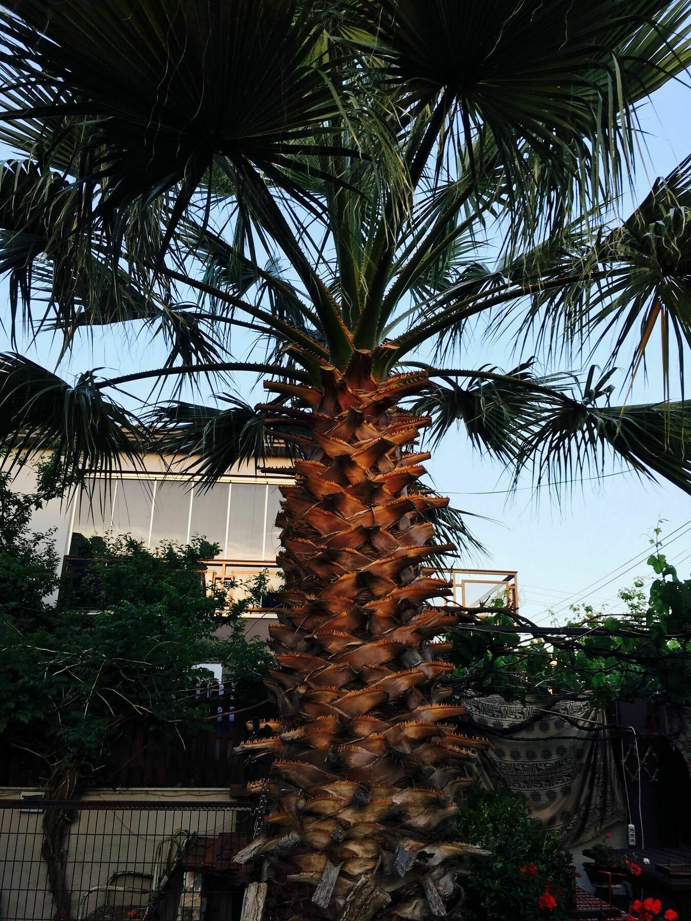 Cesme Ada Hotel Exterior foto